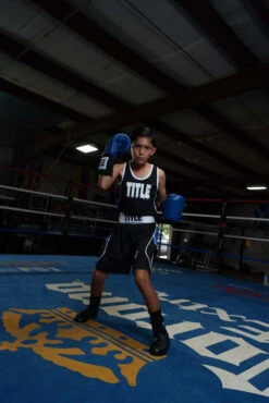 TITLE Boxing USA Boxing Competition Gloves - Elastic -ADIDAS || Nike Sales ACGESBL 1