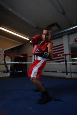 TITLE Boxing USA Boxing Competition Gloves - Elastic -ADIDAS || Nike Sales ACGESRD 3