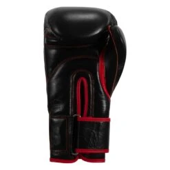 TITLE Boxing Throwback 1998 Anniversary Bag Glove -ADIDAS || Nike Sales AVTFBG BK RD 04