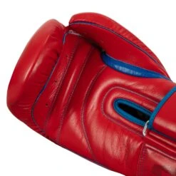 TITLE Boxing Throwback 1998 Anniversary Bag Glove -ADIDAS || Nike Sales AVTFBG RD BL 5