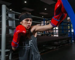 TITLE Boxing Throwback 1998 Anniversary Bag Glove -ADIDAS || Nike Sales AVTFBGRDBL 1 339f39f1 014b 4fe9 bbb9 52c29eb16516