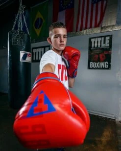 TITLE Boxing Throwback 1998 Anniversary Bag Glove -ADIDAS || Nike Sales AVTFBGRDBL 6 6