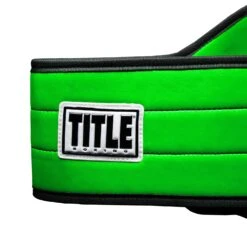 TITLE Boxing World Boxing Champion Title Belt -ADIDAS || Nike Sales CLTB20 GN 4