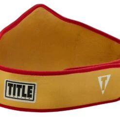 TITLE Boxing Gold Flash Title Belt -ADIDAS || Nike Sales CLTB215 GD 4