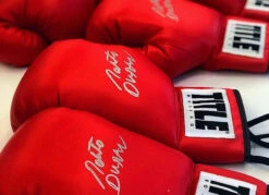 TITLE Boxing Legacy Autograph Gloves 2.0 -ADIDAS || Nike Sales EABG2RD2