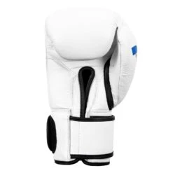 Fighting Fury Professional Training Gloves -ADIDAS || Nike Sales FSFTGE WH 04