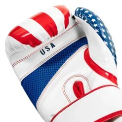 TITLE Boxing Infused Foam Combat USA Training Gloves -ADIDAS || Nike Sales HIFUTG 5