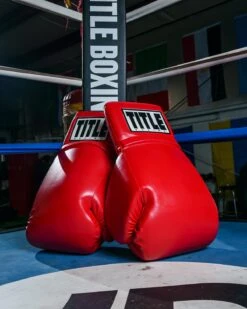 TITLE Boxing Jumbo Boxing Gloves 2.0 -ADIDAS || Nike Sales JBG2RD 3