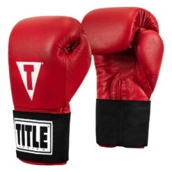 TITLE Boxing Masters USA Boxing Competition Gloves - Elastic -ADIDAS || Nike Sales MACGES RD 02
