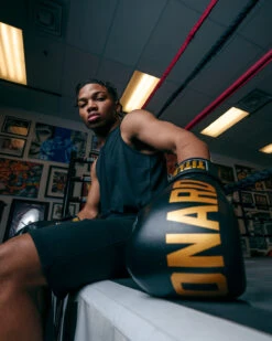 TITLE Boxing Sugar Ray Leonard Leather Bag Gloves -ADIDAS || Nike Sales SRLBG 2 2