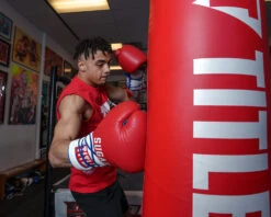 TITLE Boxing Sugar Ray Leonard Signature Leather Sparring Gloves -ADIDAS || Nike Sales SRLSLSG 4 3