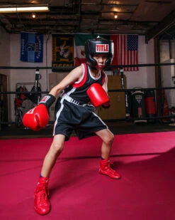 TITLE Boxing Aerovent Elite Amateur Boxing Set 4 V. 2.0 -ADIDAS || Nike Sales TABS19BKRD 2 1