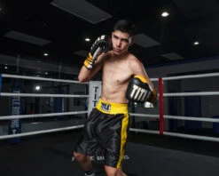 TITLE Boxing Edge Boxing Trunks 2.0 -ADIDAS || Nike Sales TBTC2BKGD2