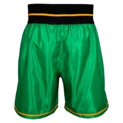 WBC By TITLE Boxing Professional Boxing Trunks 23 WBC By TITLE Boxing Professional Boxing Trunks -ADIDAS || Nike Sales WBCBT GN BK 3