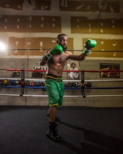 WBC By TITLE Boxing Professional Boxing Trunks 24 WBC By TITLE Boxing Professional Boxing Trunks -ADIDAS || Nike Sales WBCBTGRBK 2