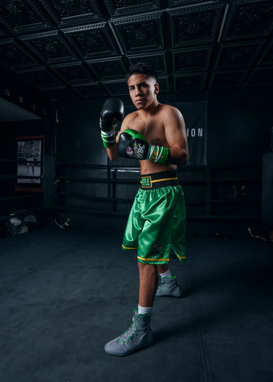 WBC By TITLE Boxing Professional Boxing Trunks 12 WBC By TITLE Boxing Professional Boxing Trunks - Image 12
