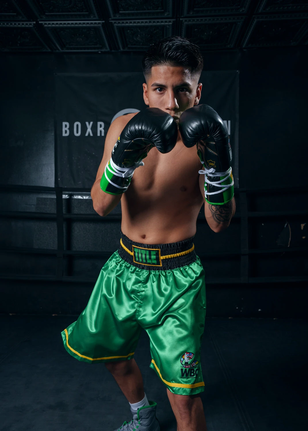 WBC By TITLE Boxing Professional Boxing Trunks 13 WBC By TITLE Boxing Professional Boxing Trunks - Image 13