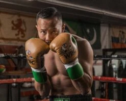 WBC By TITLE Boxing Jose Sulaiman Leather Gloves 17 WBC By TITLE Boxing Jose Sulaiman Leather Gloves -ADIDAS || Nike Sales WBCJPFG