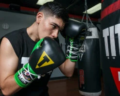 WBC By TITLE Boxing Sparring Gloves -ADIDAS || Nike Sales WBCSGBKGNGD 1
