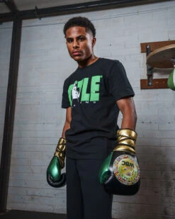 WBC By TITLE Boxing Green Belt Sparring Gloves -ADIDAS || Nike Sales WGBSGBKGD 2