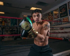 WBC By TITLE Boxing Green Belt Sparring Gloves -ADIDAS || Nike Sales WGBSGBKGN 1