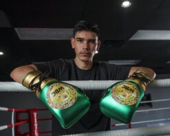 WBC By TITLE Boxing Green Belt Sparring Gloves -ADIDAS || Nike Sales WGBSGGDGNBK 2