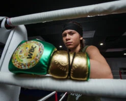 WBC By TITLE Boxing Green Belt Sparring Gloves -ADIDAS || Nike Sales WGBSGGNBK 2