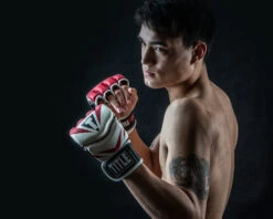 TITLE MMA Command Pro Fight Gloves -ADIDAS || Nike Sales XMCPFG RD