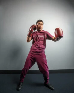 TITLE Boxing Blood Red Leather Bag Gloves -ADIDAS || Nike Sales brbg rd 2