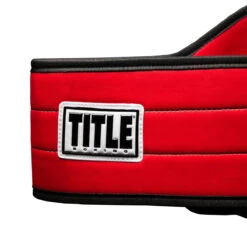 TITLE Boxing World Boxing Champion Title Belt -ADIDAS || Nike Sales cltb20 rd 3
