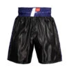 Fighting Professional Boxing Trunks