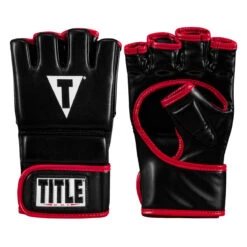 New Products 20 TITLE MMA Perform Hybrid Sparring Gloves 2.0