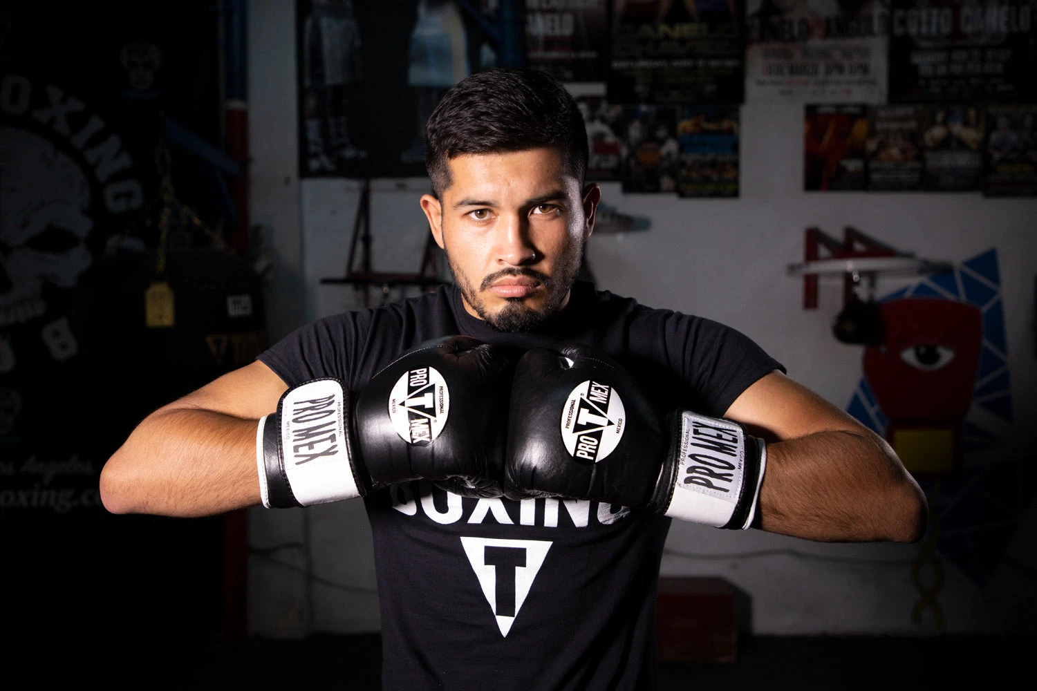 Pro Mex Professional Bag Gloves V3.0 2 Pro Mex Professional Bag Gloves V3.0 - Image 2