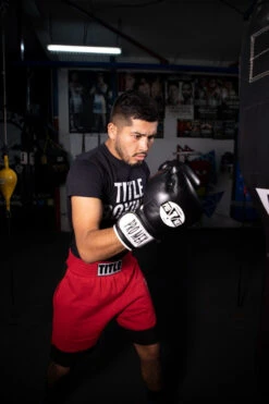 Pro Mex Professional Bag Gloves V3.0 26 Pro Mex Professional Bag Gloves V3.0 -ADIDAS || Nike Sales pmhbg3 bk 2