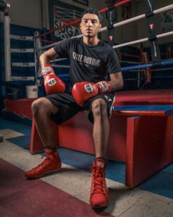 Pro Mex Professional Lace Sparring Gloves V3.0 -ADIDAS || Nike Sales pmtgl3 rd 1 3