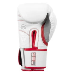 TITLE Boxing Gel Special Edition Bag Gloves -ADIDAS || Nike Sales setgbg sv wh rd 04