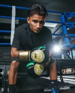 WBC By TITLE Boxing Green Belt Training Gloves 1.0 20 WBC By TITLE Boxing Green Belt Training Gloves 1.0 -ADIDAS || Nike Sales wgbtg bk 2 1